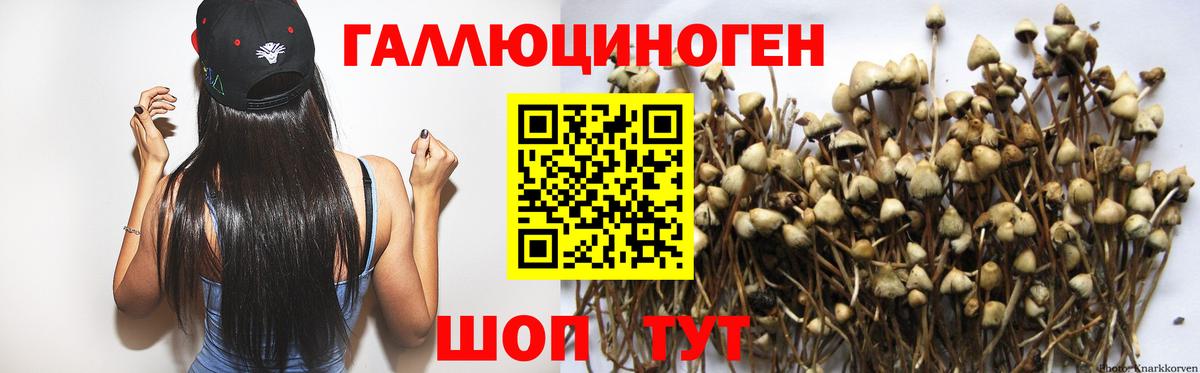 Хабаровск  Псилоцибиновые грибы прущие грибы  Вход с VPN 