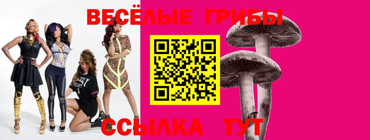 Псилоцибиновые грибы Cubensis Хабаровск