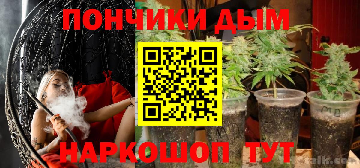 Хабаровск  Марихуана план  Вход с VPN  Марихуана ГИДРОПОН 